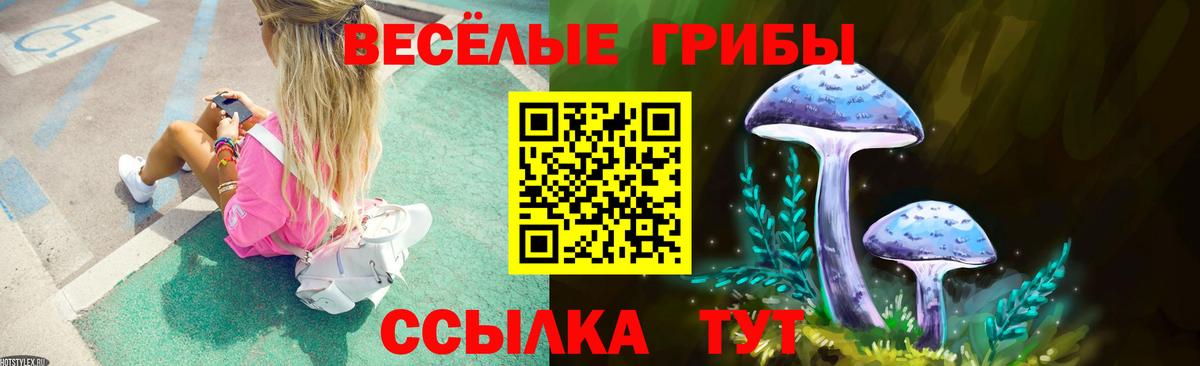 Галлюциногенные грибы GOLDEN TEACHER  Вход с VPN  продажа наркотиков  Кемерово 